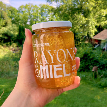 Rayons de miel biologique en pot - 500 g